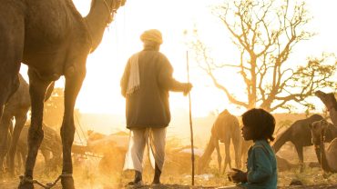 Jaisalmer – A Complete Travel Guide