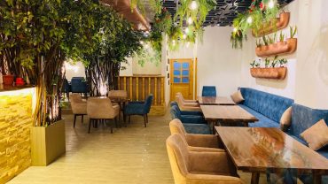 The Plant Story | Best Family Restaurant in Jodhpur